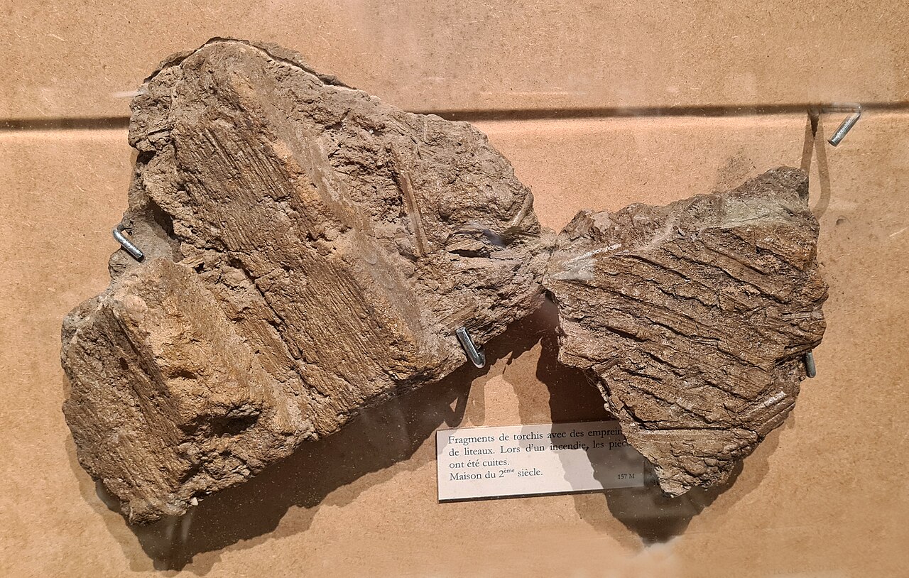 Fragments de torchis archéologiques au musée de Brumath